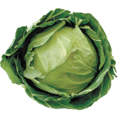 Green Cabbage