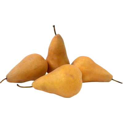 Bosc Beurre Pears
