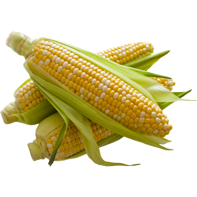 Sweetcorn