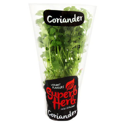 Superb Herb Coriander Pot