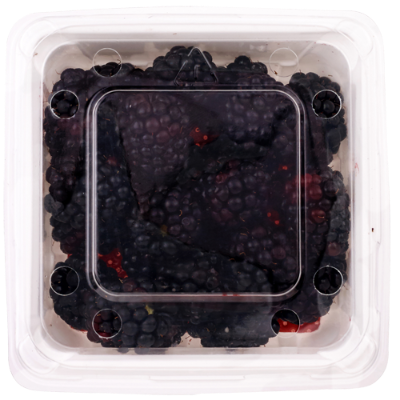 Blackberries