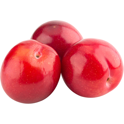 Red Yellow Flesh Plums